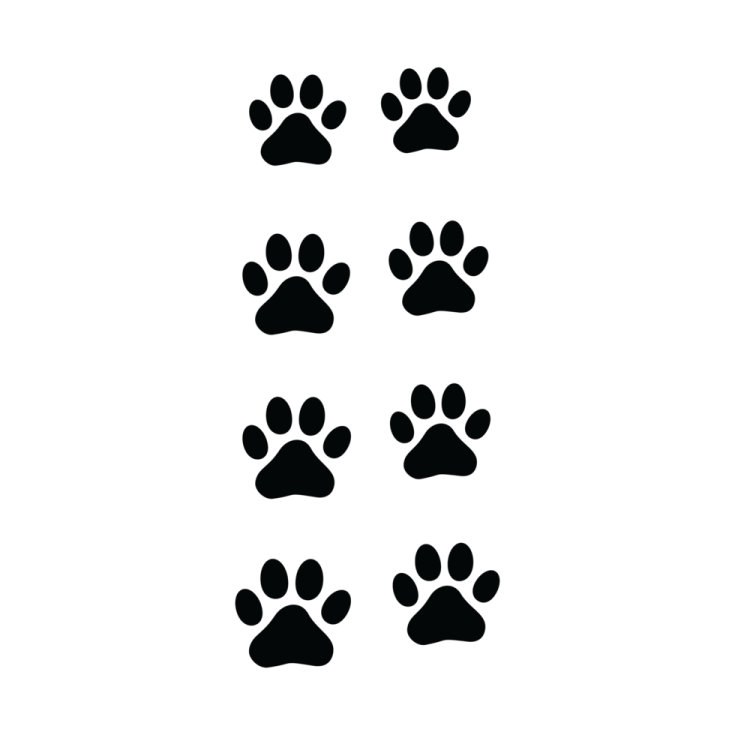 a black and white image of paw prints