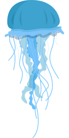 a blue jellyfish swimming in the ocean