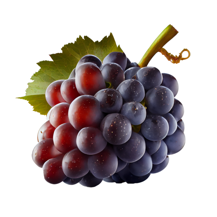 a bunch of grapes on a white background