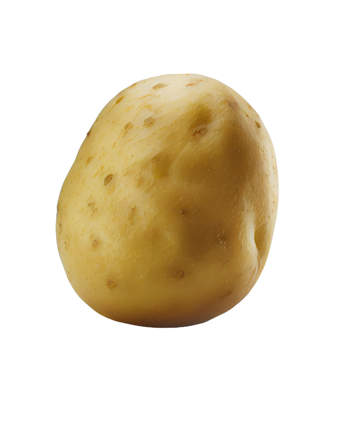 a potato on a white background