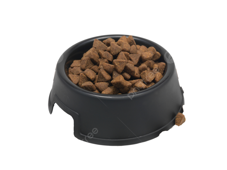 a bowl full of dog food on a white background