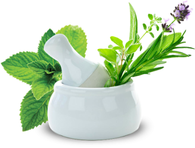 a mortar with herbs in it