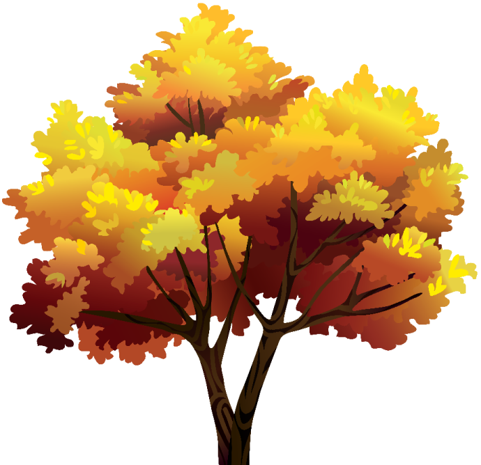 a tree with yellow leaves on it