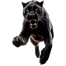 a black panther running with its mouth open