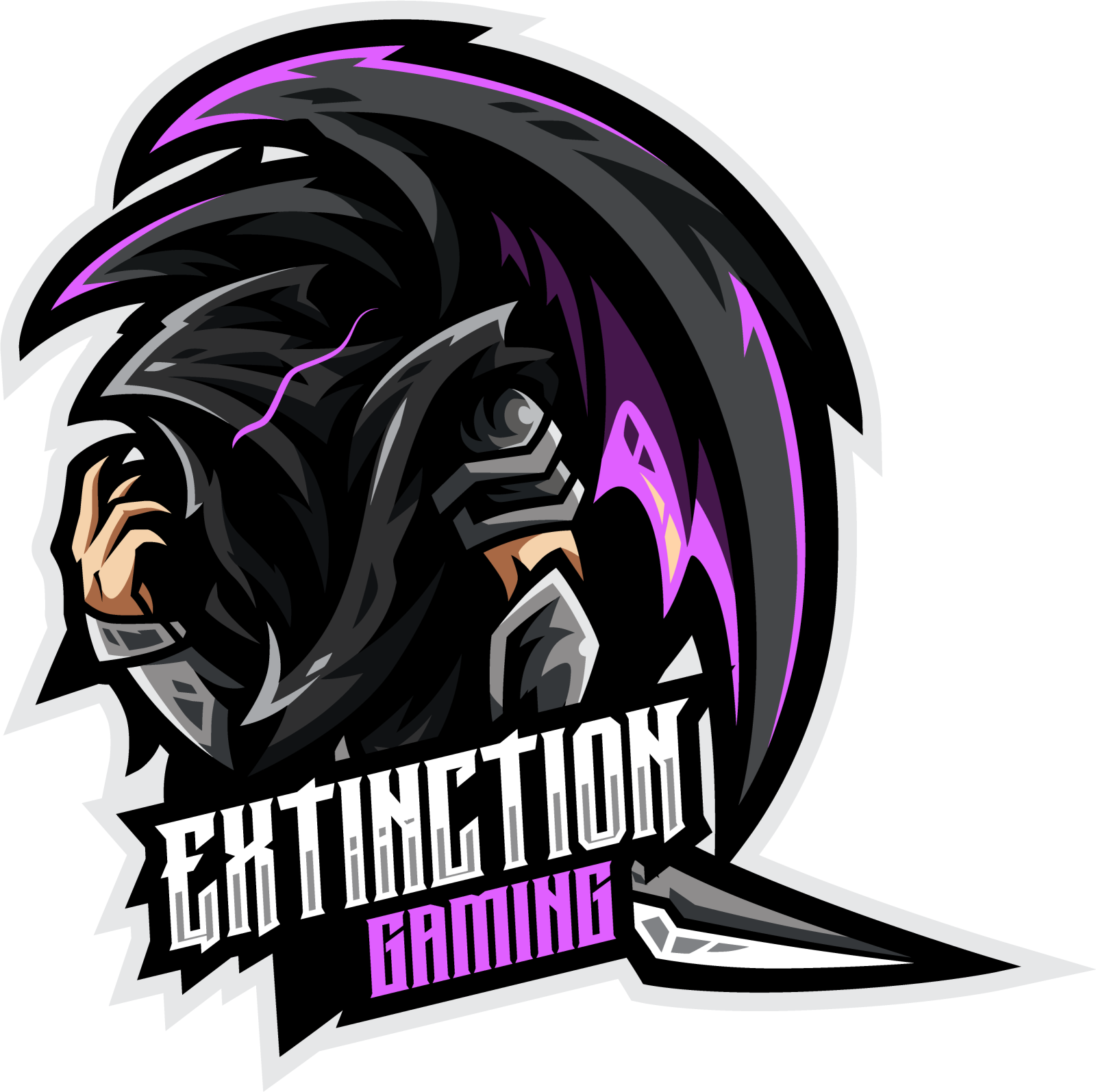 the logo for a gaming team