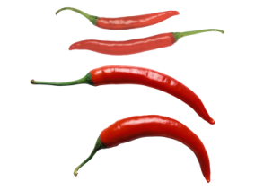 three chili peppers on a white background