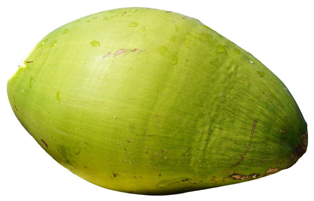 a green coconut on a white background