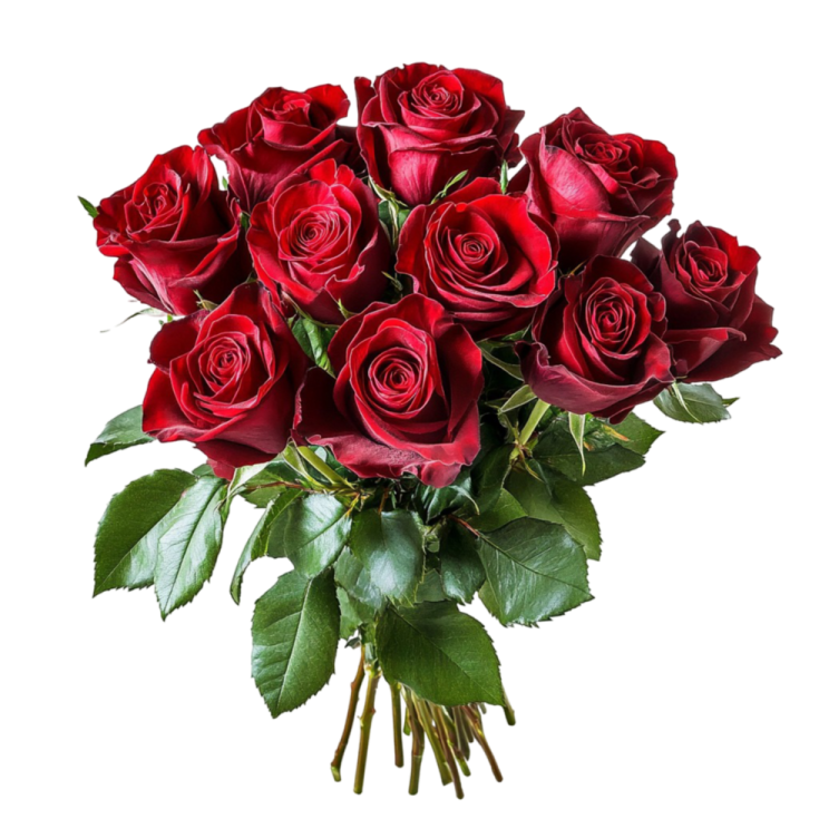 a bouquet of red roses on a white background