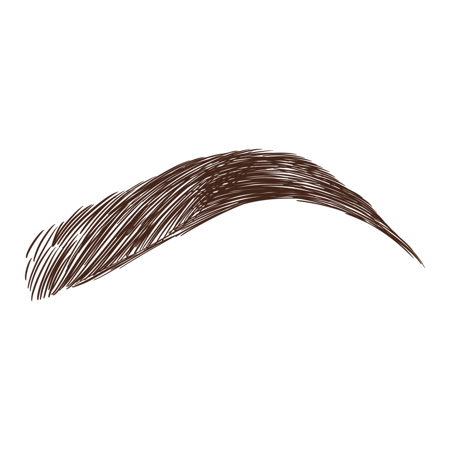 how to draw eyebrows step by step