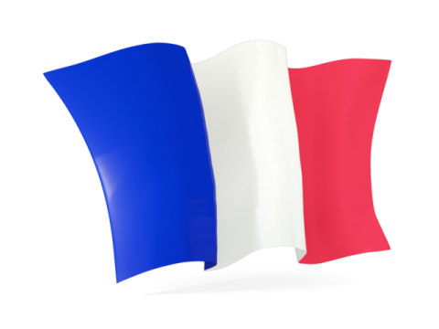 the french flag on a white background