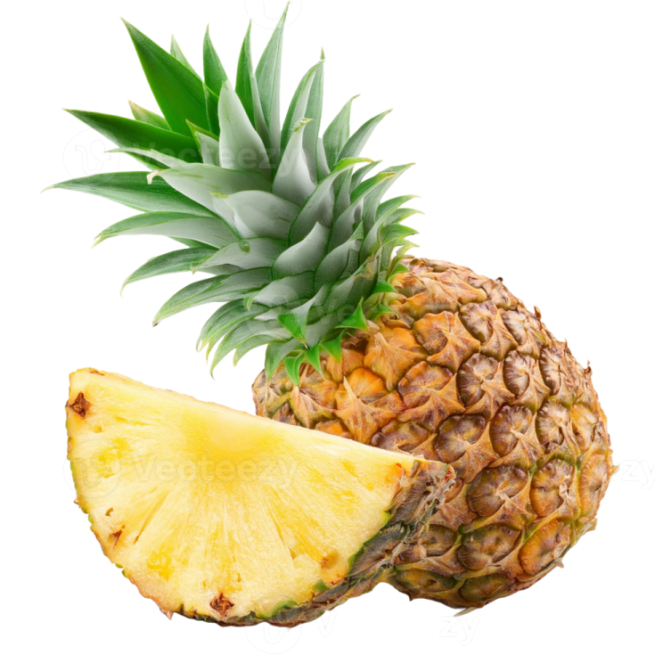 a pine fruit with a slice cut in half
