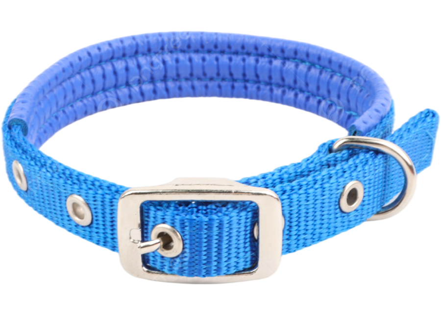 an image of a blue dog collar