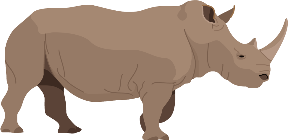 an illustration of a rhino