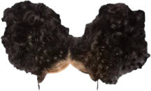 a pair of black curly hair on a white background