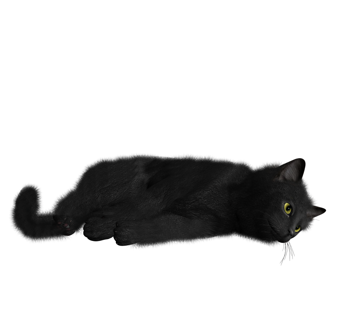 a black cat laying down on the ground