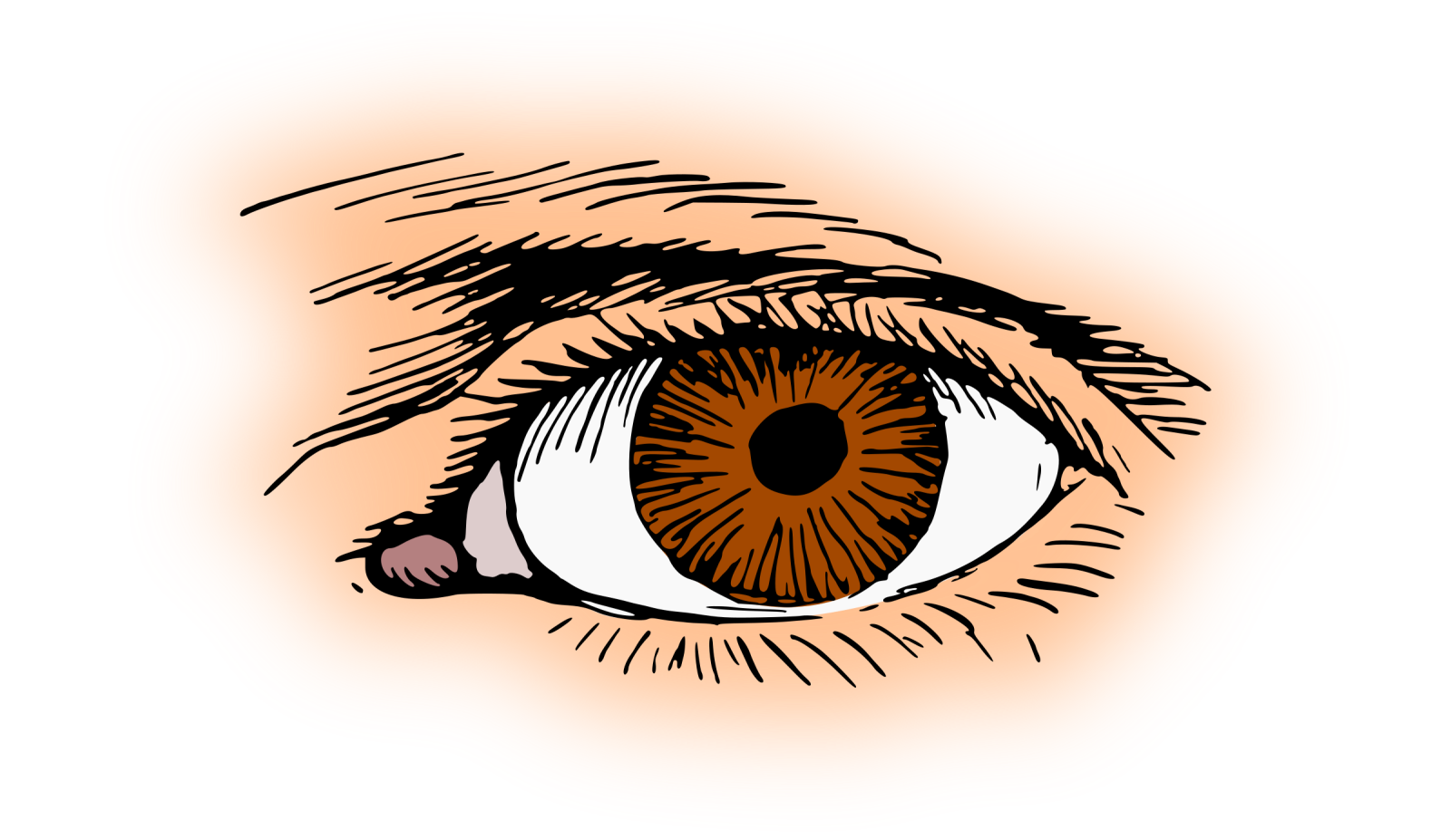 a drawing of an eye