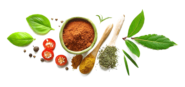 herbs and spices on a white background