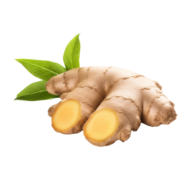 a close up of a ginger root with green leaves
