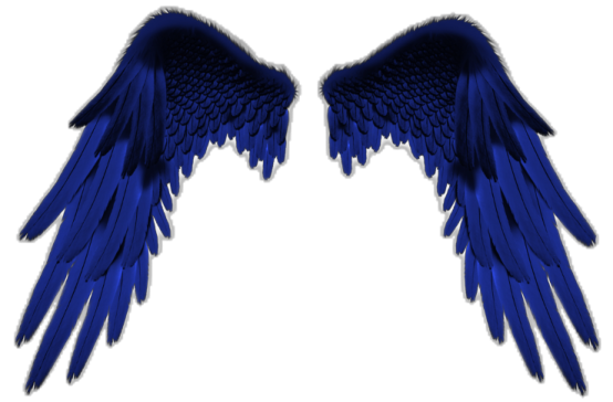 two blue wings on a white background