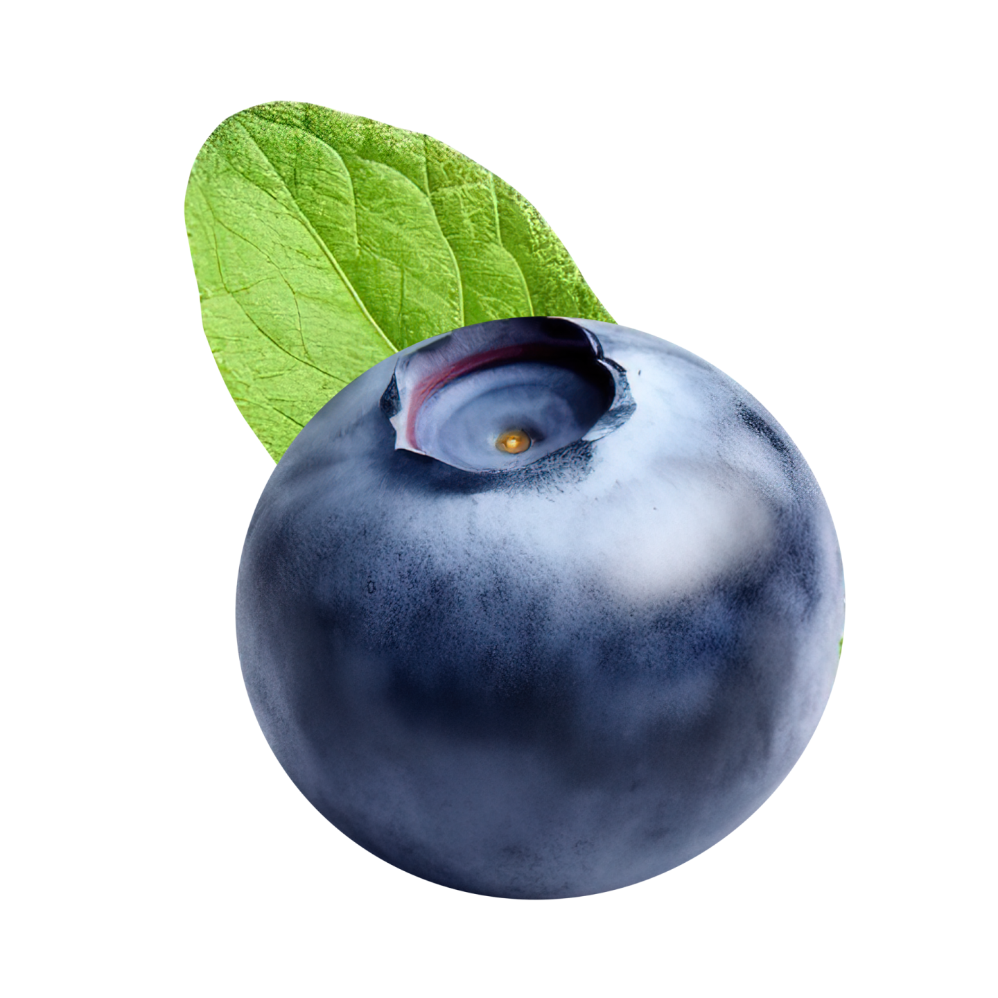 a blueberry with a green leaf on top