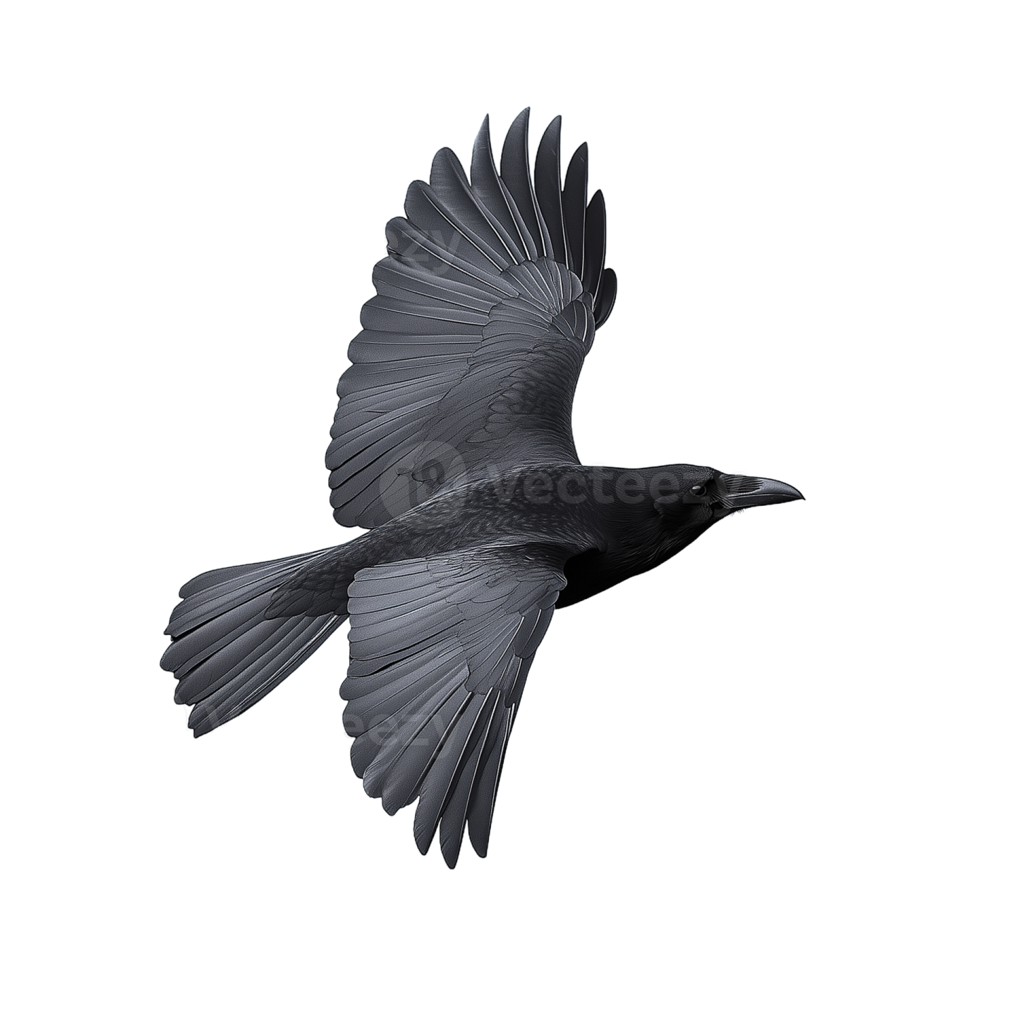 a bird flying in the air with its wings spread