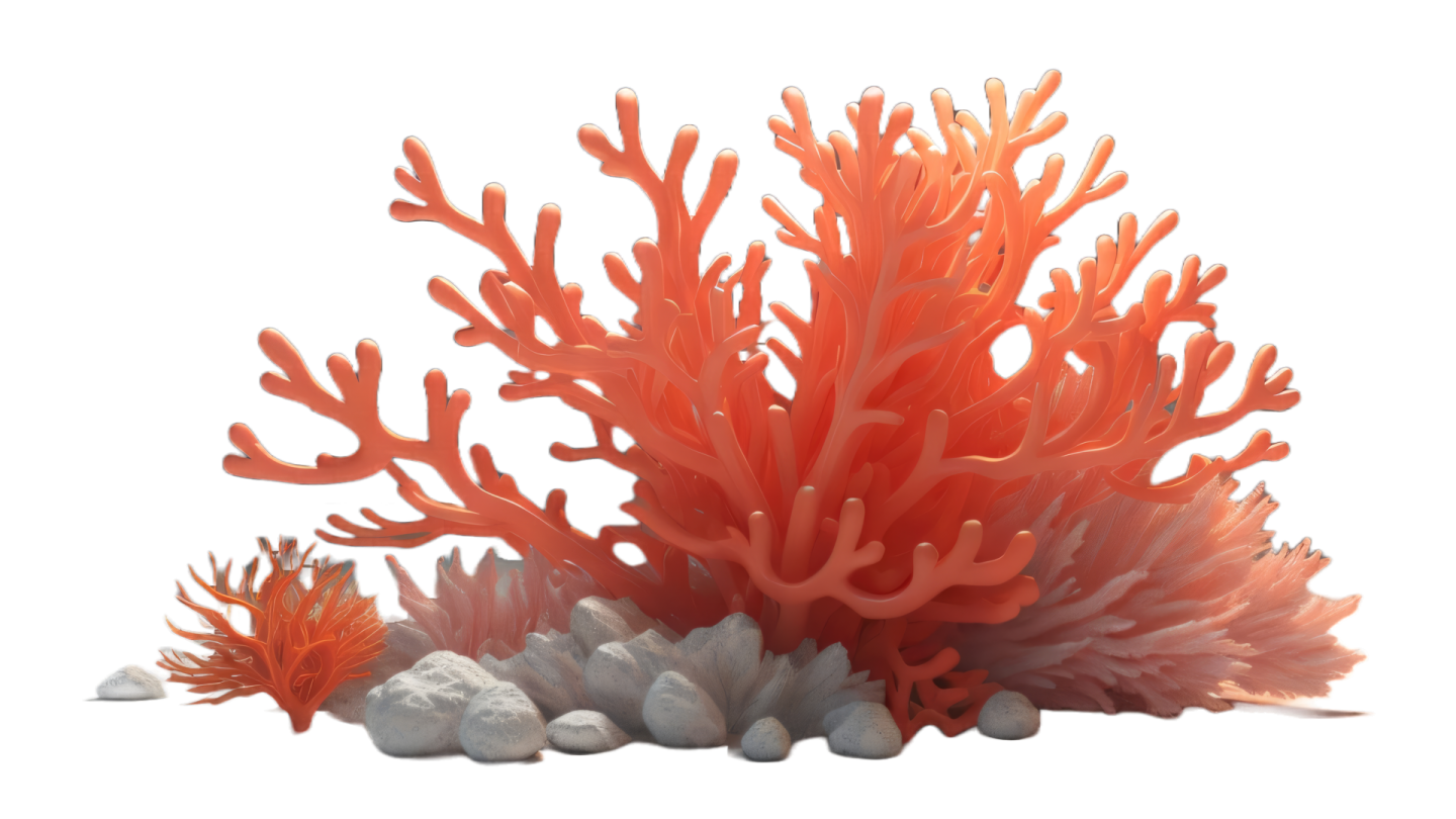 a bunch of corals on a white background