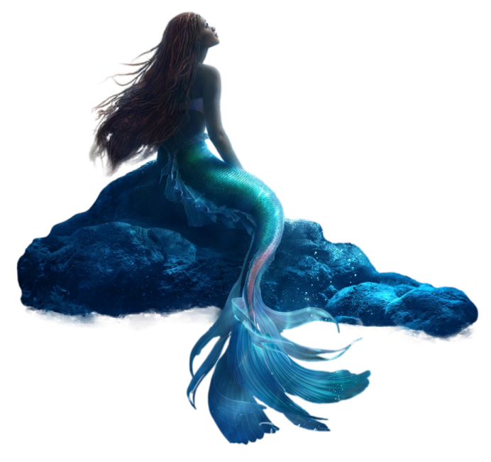 a mermaid sitting on top of a rock