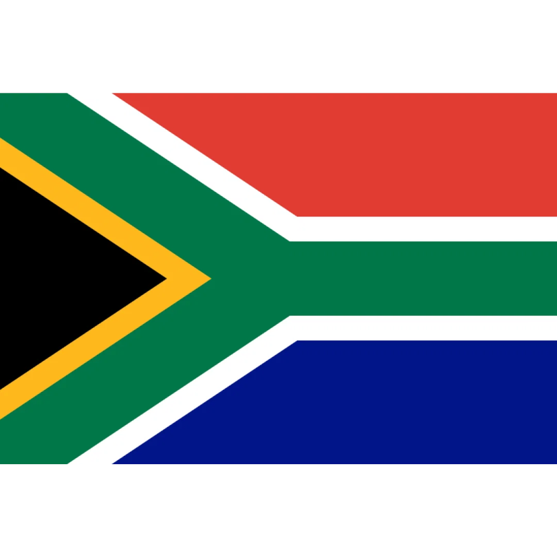the south african flag