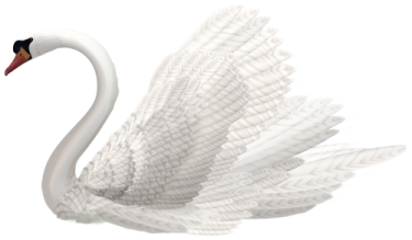 a white swan with its wings spread out