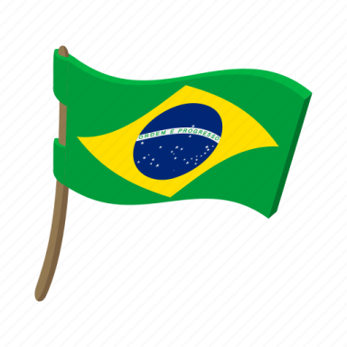 a brazil flag with a wooden stick