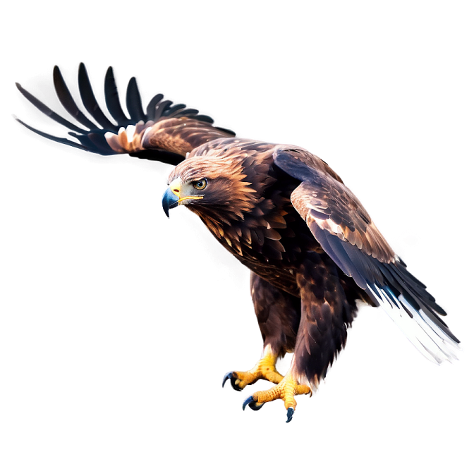 a large bird flying through the air