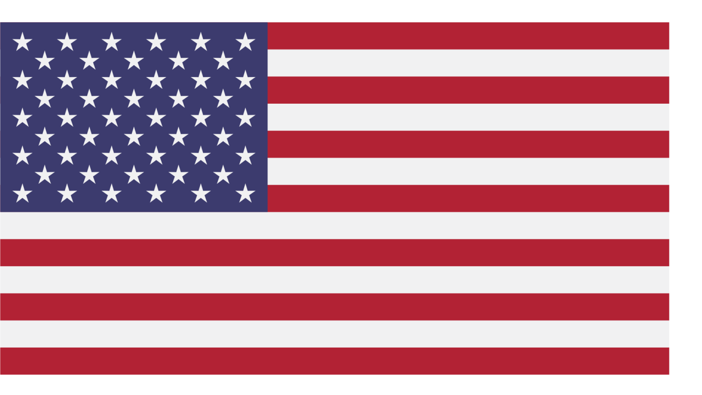 the american flag