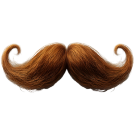 a pair of mustaches on a white background
