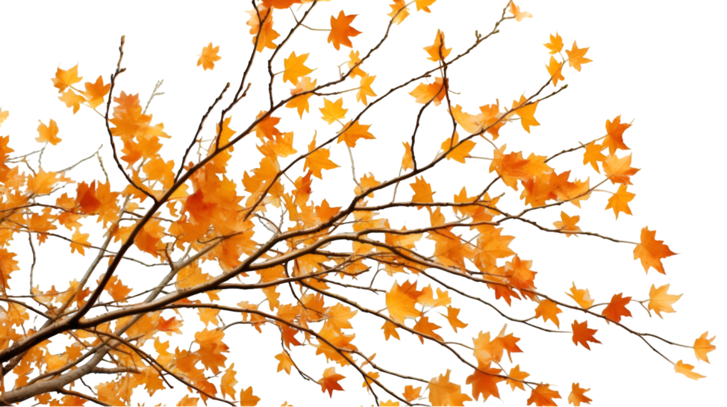 an image of a tree with orange leaves