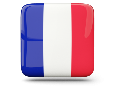 a square button with the flag of france