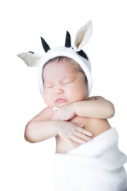 a baby wrapped up in a unicorn costume