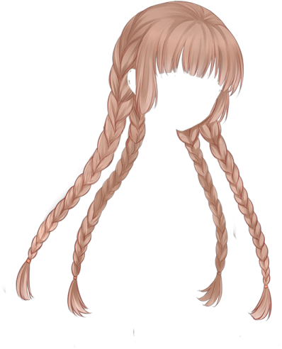 a drawing of a girl with long hair and braids