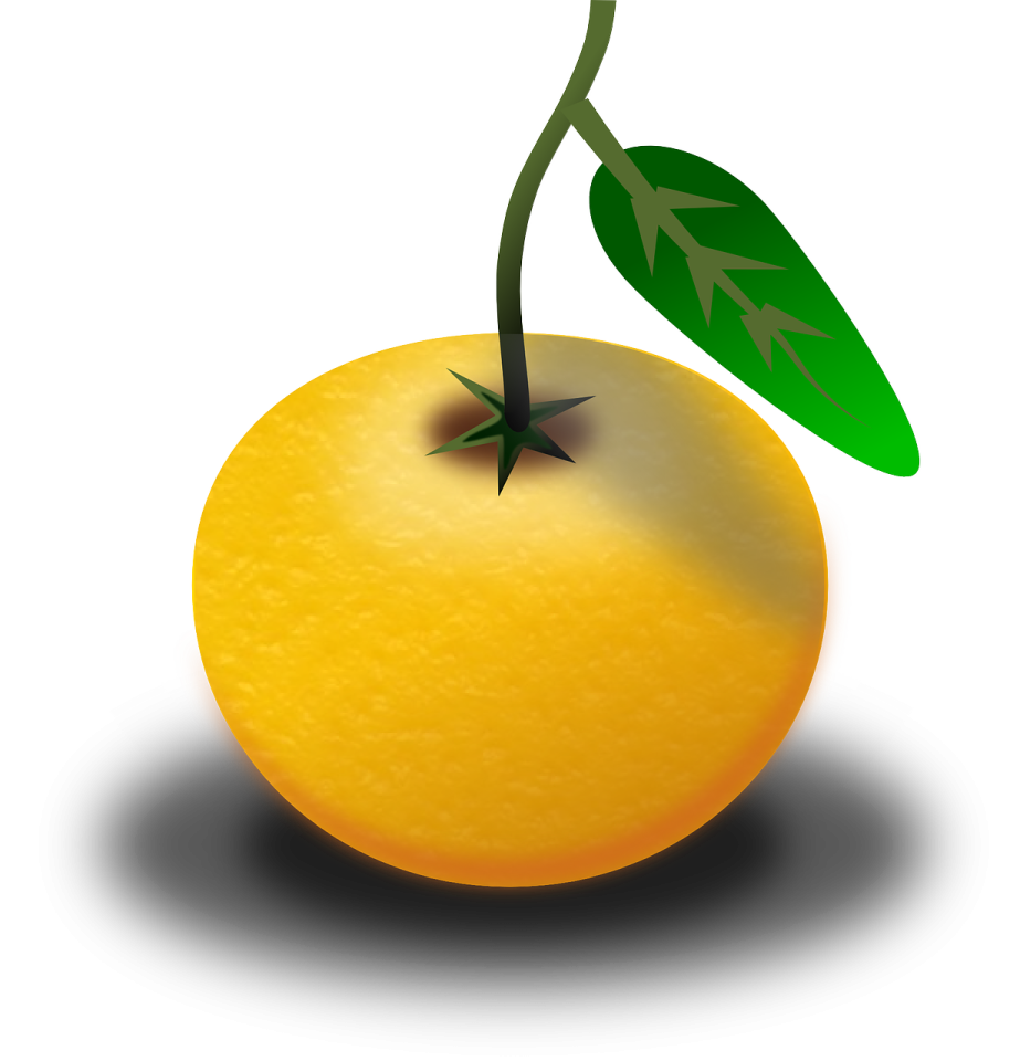 an orange with a green leaf on it