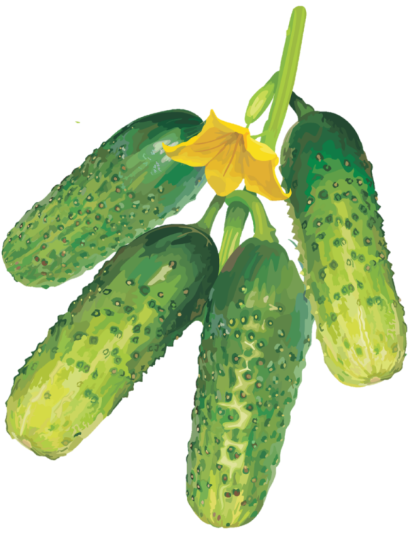 a green plant with yellow flowers on it