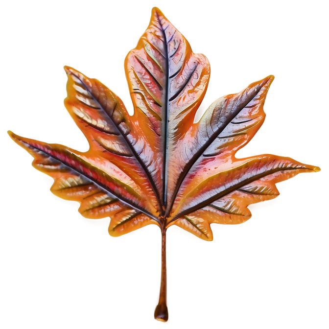 a close up of a leaf on a white background