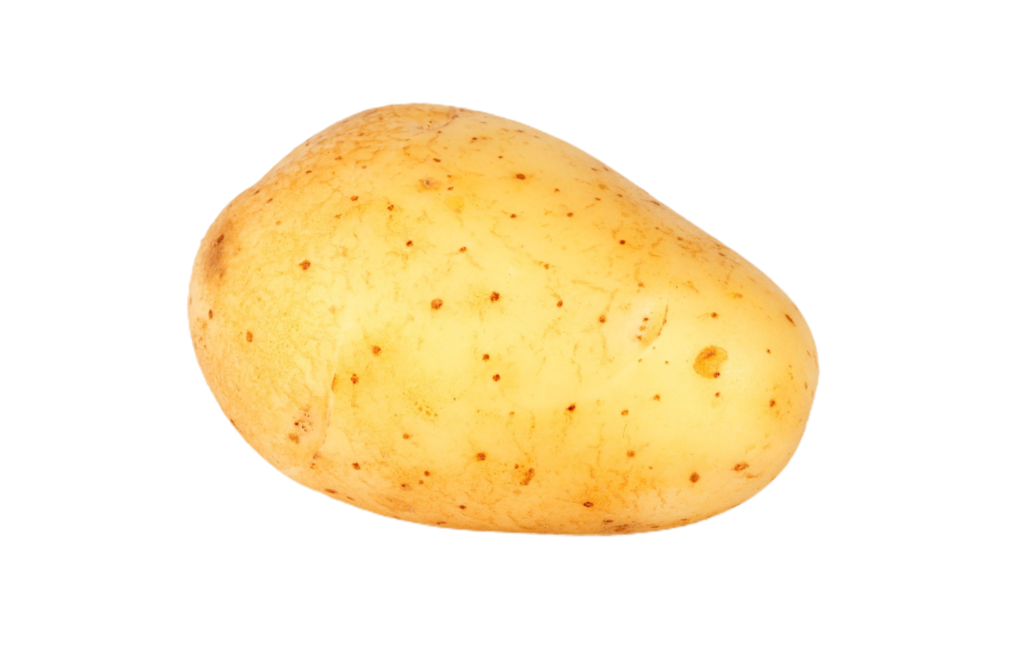 a potato on a white background