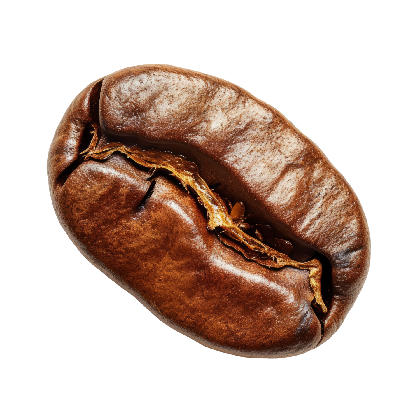 a coffee bean on a white background