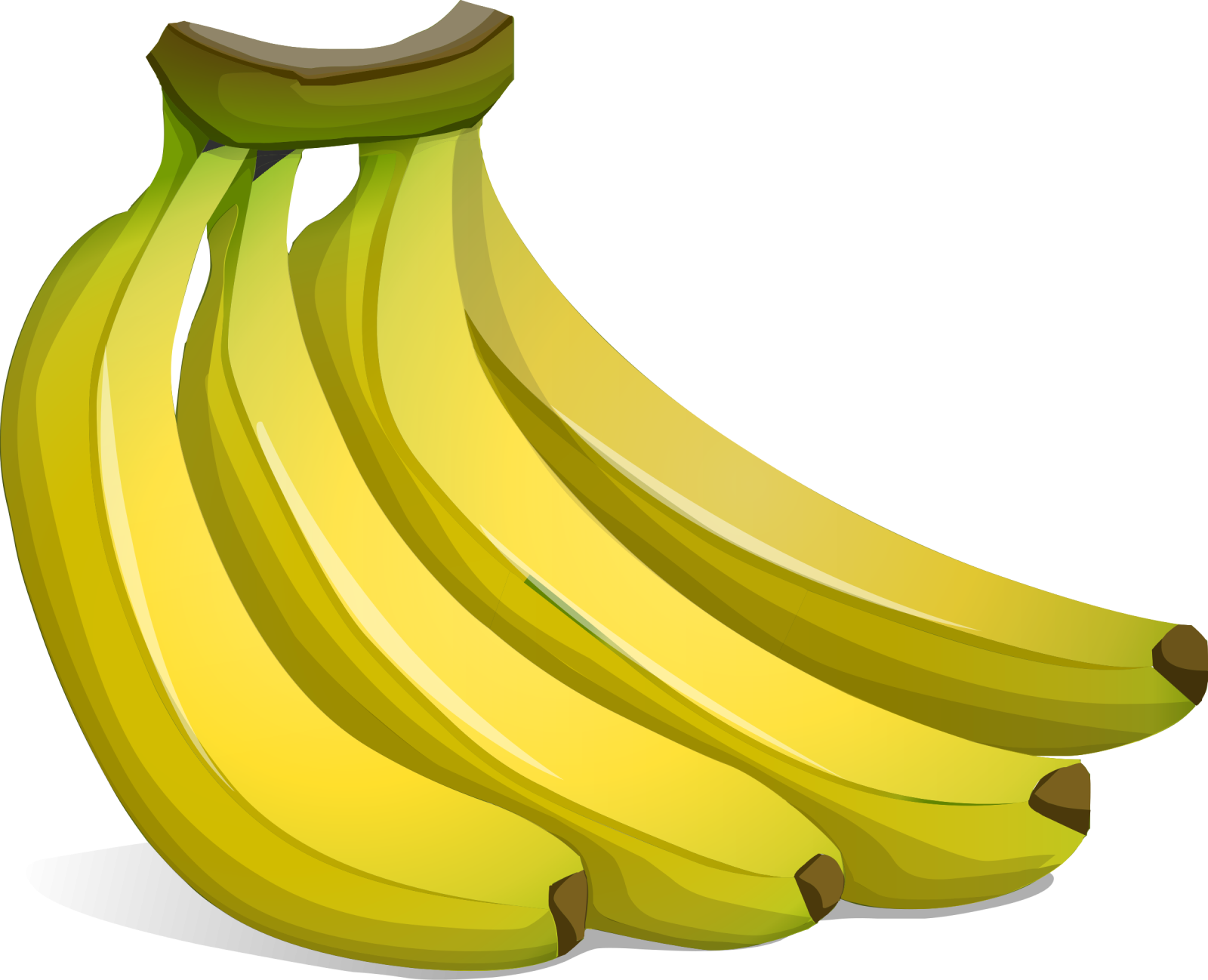 a bunch of bananas on a white background