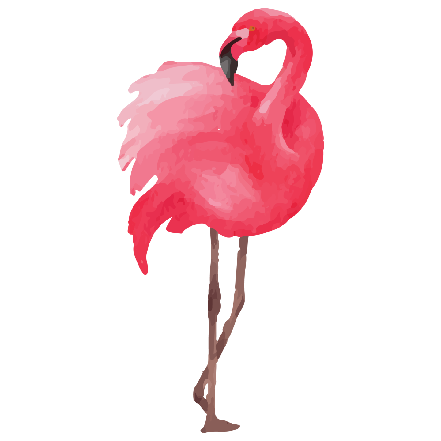 an illustration of a pink flaming