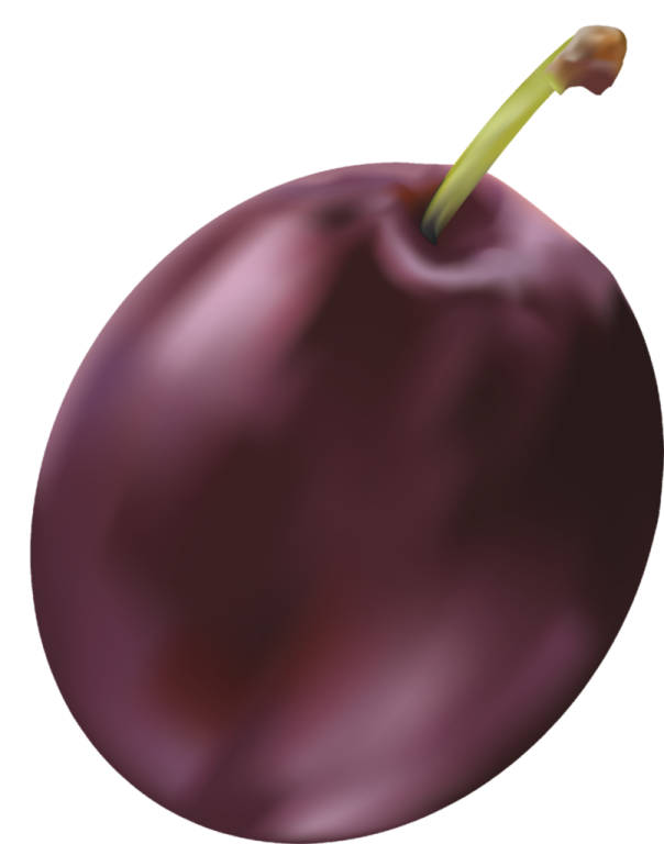 a plum with a green stem on it