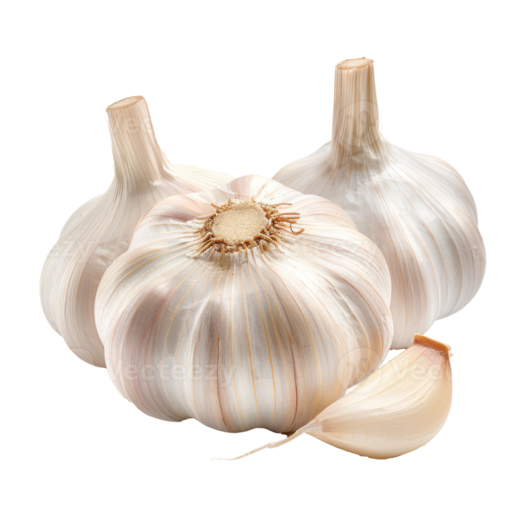two garlic bulbs on a white background