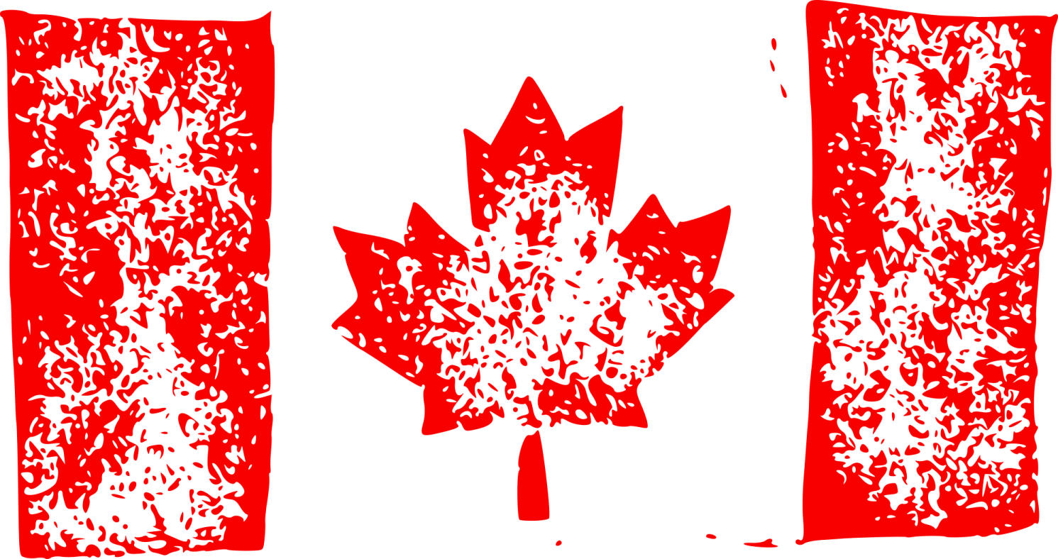 a red maple leaf on a white background