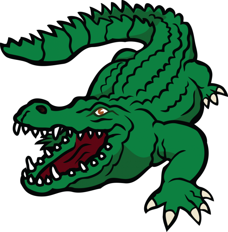 a crocodile with its mouth open