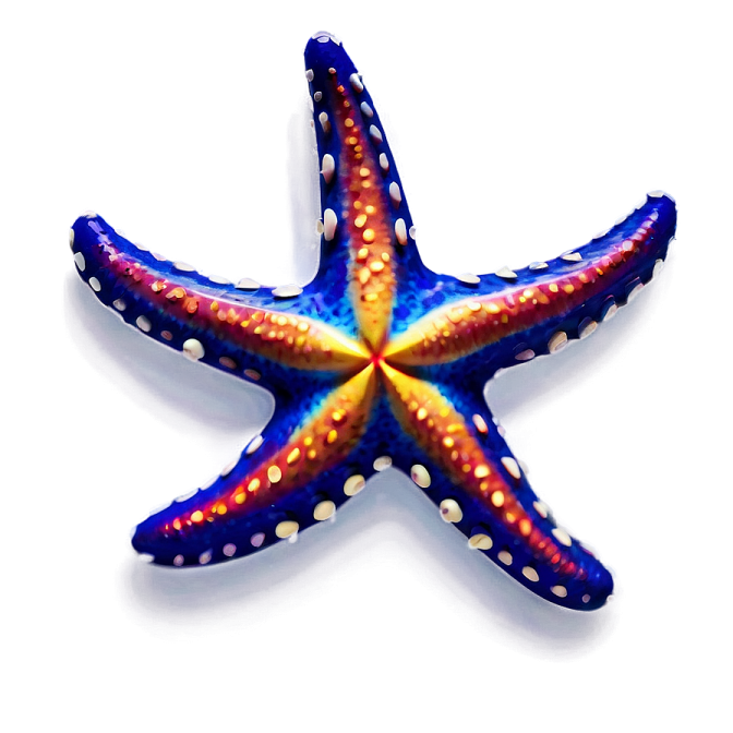 a colorful starfish on a white background