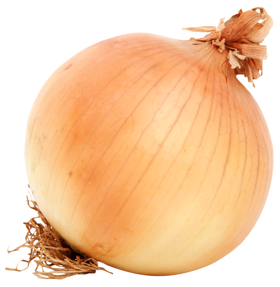 a close up of an onion on a white background